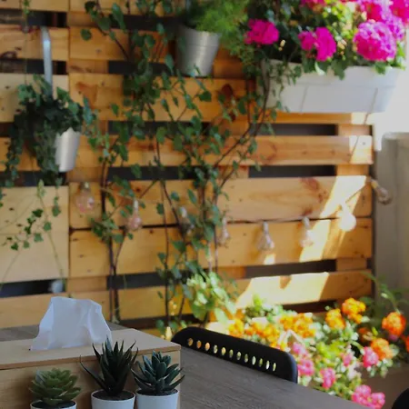 Donatella Appartement Poreč